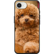 Чохол BoxFace Apple iPhone 17e 