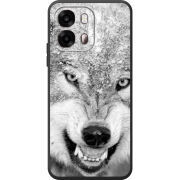 Чохол BoxFace OPPO A6s 4G 