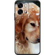 Чохол BoxFace OPPO A6s 4G Golden Retriever
