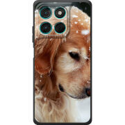 Чохол BoxFace Moto G77 Golden Retriever