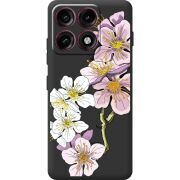 Прозорий чохол BoxFace Moto Edge 70 Pro Cherry Blossom