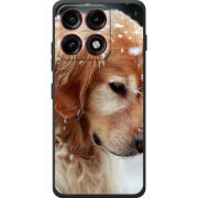 Чохол BoxFace Moto Edge 70 Pro Golden Retriever
