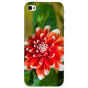 Чехол Uprint Apple iPhone 4 