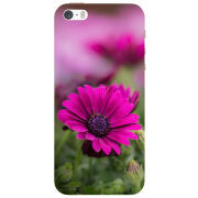 Чехол Uprint Apple iPhone 5 