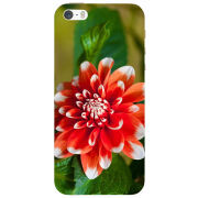Чехол Uprint Apple iPhone 5 