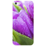 Чехол Uprint Apple iPhone 5 