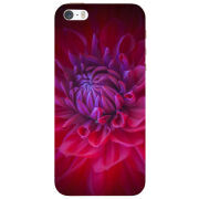 Чехол Uprint Apple iPhone 5 