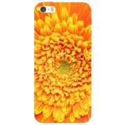 Чехол Uprint Apple iPhone 5 