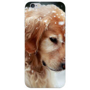 Чехол Uprint Apple iPhone 6 Plus Golden Retriever
