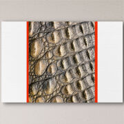 Печать на холсте 60 на 40 сантиметров 