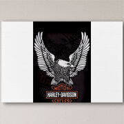 Печать на холсте 60 на 40 сантиметров Harley Davidson and eagle