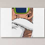 Печать на холсте 60 на 40 сантиметров Master Roshi
