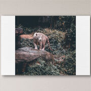 Печать на холсте 60 на 40 сантиметров 