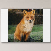 Печать на холсте 60 на 40 сантиметров 