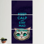 Модульные картины горизонтальные  60 на 40 3шт Stay Mad