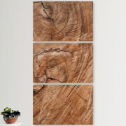 Модульные картины горизонтальные  60 на 40 3шт 