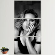 Модульные картины горизонтальные  60 на 40 3шт 