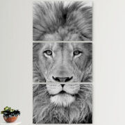 Модульные картины горизонтальные  60 на 40 3шт 