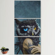 Модульные картины горизонтальные  60 на 40 3шт Owl Woman