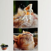 Модульные картины горизонтальные  60 на 40 3шт 