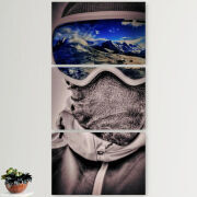 Модульные картины горизонтальные  60 на 40 3шт snowboarder