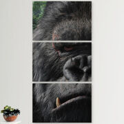 Модульные картины горизонтальные  60 на 40 3шт Kong