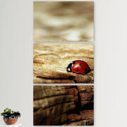 Модульные картины горизонтальные  60 на 40 3шт 