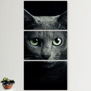 Модульные картины горизонтальные  60 на 40 3шт 