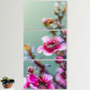 Модульные картины горизонтальные  60 на 40 3шт 