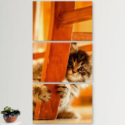 Модульные картины горизонтальные  60 на 40 3шт 