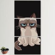 Модульные картины горизонтальные  60 на 40 3шт 