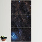 Модульные картины горизонтальные  60 на 40 3шт 