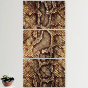 Модульные картины горизонтальные  60 на 40 3шт 