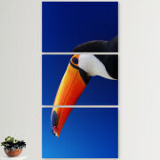 Модульные картины горизонтальные  60 на 40 3шт 