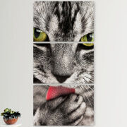 Модульные картины горизонтальные  60 на 40 3шт 